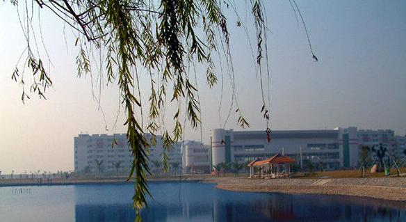 截图_20191024155821