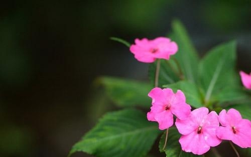 勤俭节约从点滴做起演讲稿
