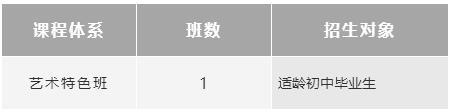 上海诺科学校艺术特色课程招生要求.jpg