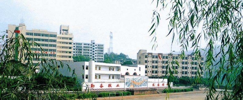 重庆财经职业学院2019年单招录取分数线