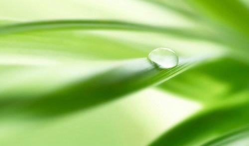 生物制药工程考研方向