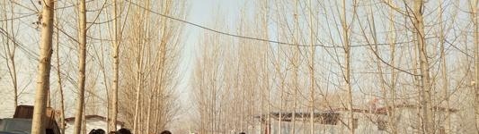 东平县技工学校怎么样、好不好