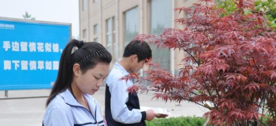 阜阳计算机学校