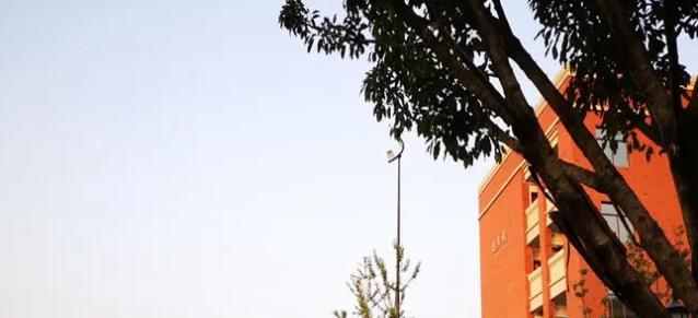 重庆史迪威外语学校初中部2023年招生政策2