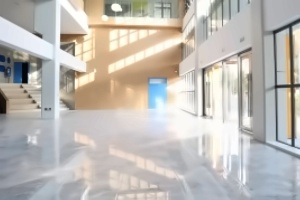 深圳市深美外籍人员子女学校教学楼大厅