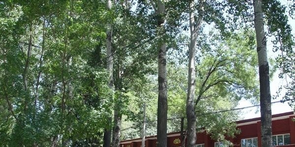 北京二轻工业学校2018年报名条件、招生对象