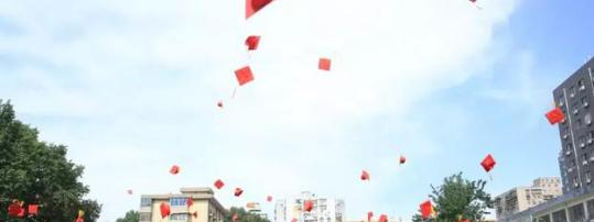 西7