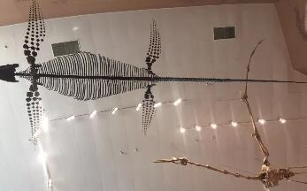 上海外国语大学Alevel课程中心新生周活动回顾