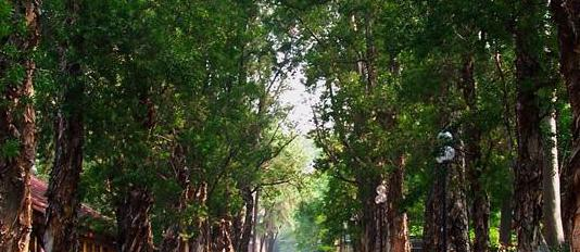 河南永城中等专业学校怎么样、好不好