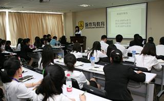 成都啄木鸟教育