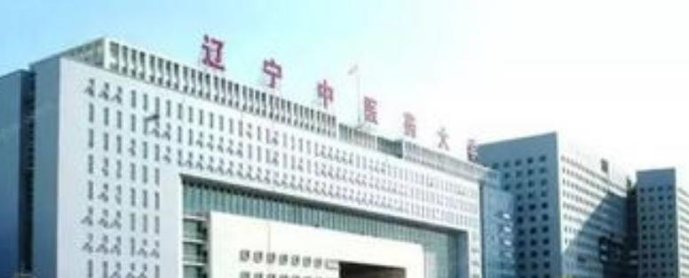 辽宁中医药大学