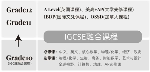 上海美达菲学校五大国际课程设置.jpg