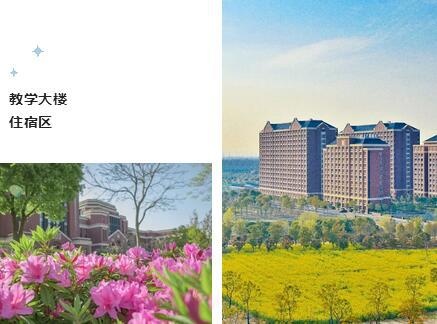 上海建桥国际高中教学楼&宿舍.jpg