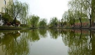 洛阳国际学校