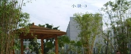 四川职业技术学院五年制大专招生办