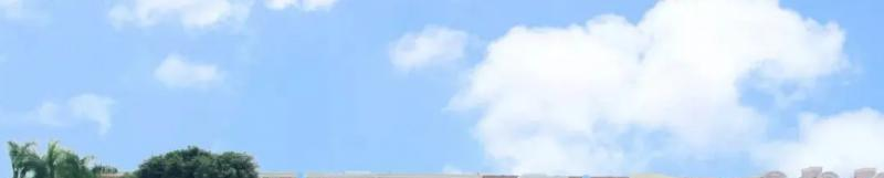 广东碧桂园(IB国际)学校2022年录取分数线