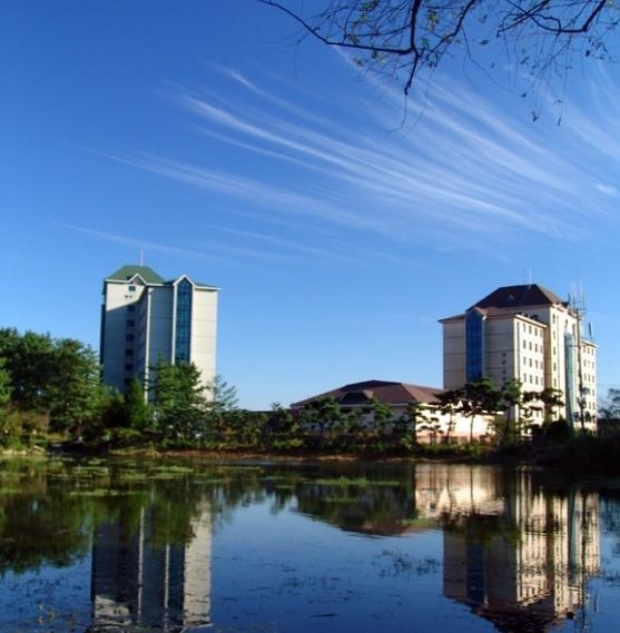 湖园大学