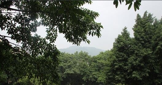 重庆知行卫生学校