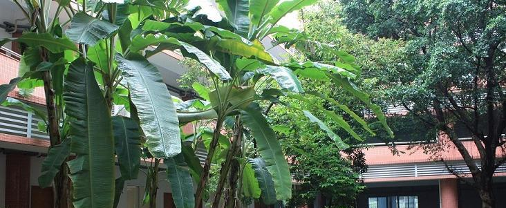 广东日本人学校初中部2020年学费、收费多少