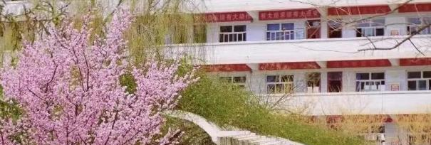 临洮中学2023年招生录取分数线 