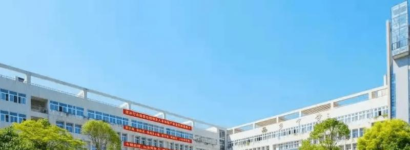 深圳石岩公学学校国际部小学2023年学费标准