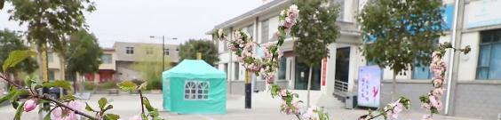兰州慈爱实验艺术职业学校2020年招生录取分数线