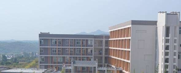 南阳职业学院单招成绩查询时间