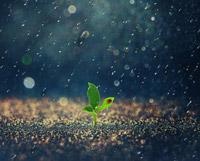 长春生命绽放课程图片