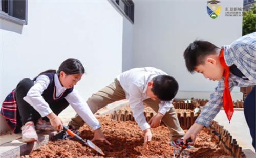 广州汇景新城实验小学