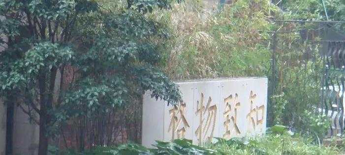 上海格致中学国际部