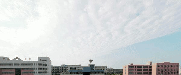 山东中医药高等专科学校单招报名时间