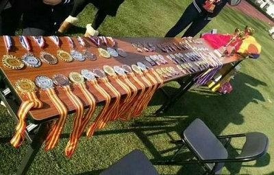 2017上外A-Level国际高中冬季运动会精:奖杯