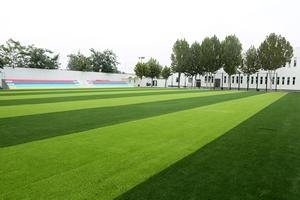 君诚国际双语学校操场