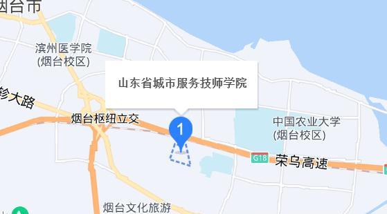 山东省城市服务技师学院
