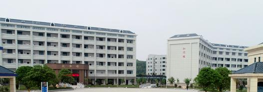 截图20200618090527