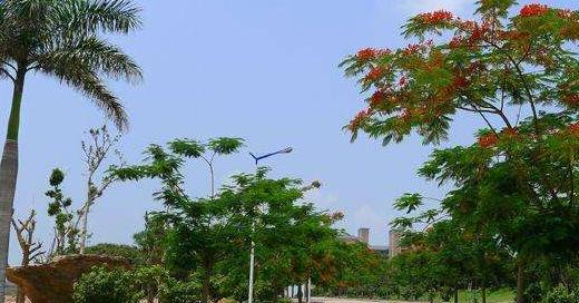 广东文理职业学院