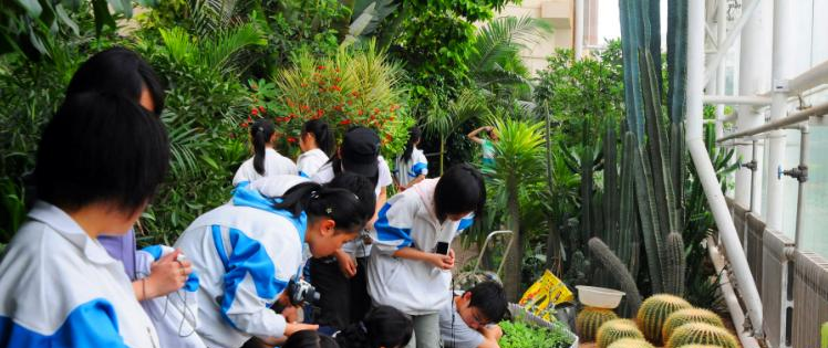 西安高新开区唐南中学网站