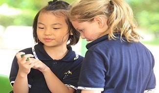 深圳曦城协同学校