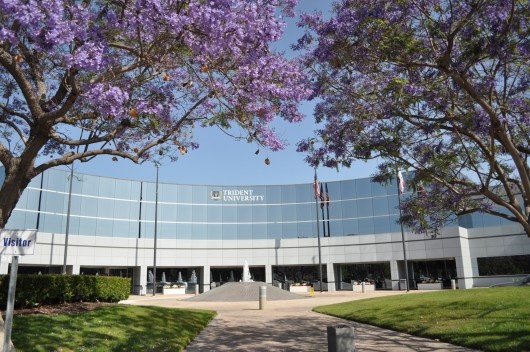 三叉戟国际大学
