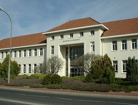 斯坦陵布什大学
