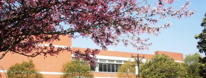 江苏淮阴中学2020年招生计划