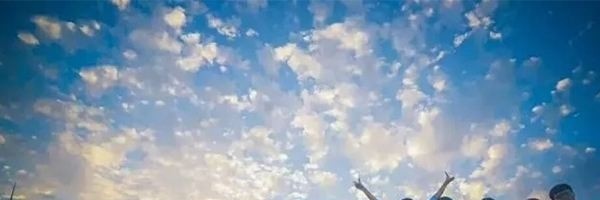 新虹桥中学国际部2022年招生政策