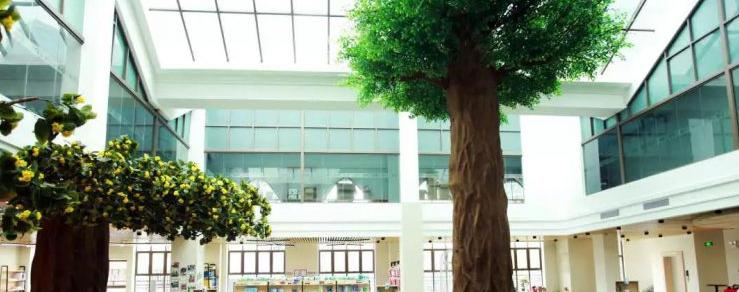 广州加拿大国际学校(CIS)小学部2020年招生办