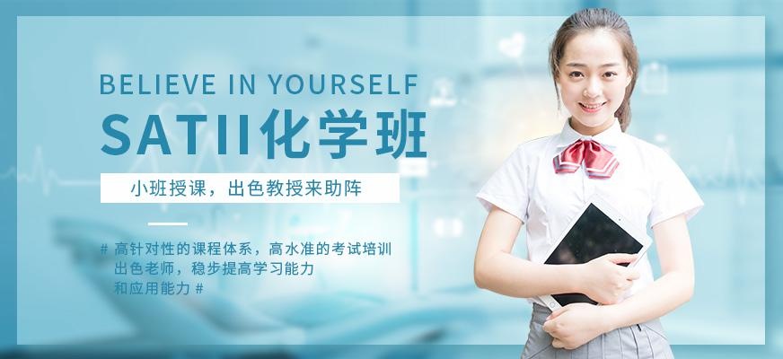 环球SATⅡ化学单项培训V8班配图