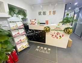 北京优越留学