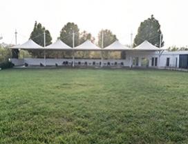 山东天艺之星艺术培训学校