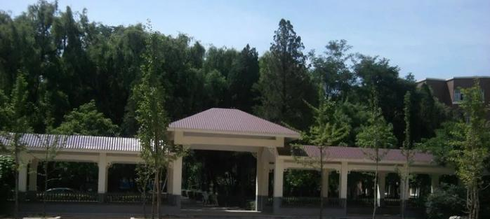 截图_20211116125650