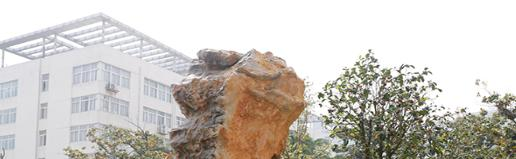 淮南职业技术学院2020年招生办