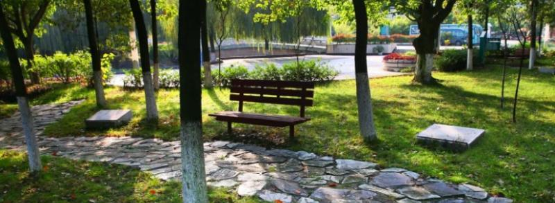 绵阳东辰国际学校高中部