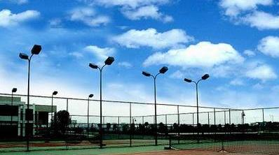 宁波城市职业技术学院2020年招生办